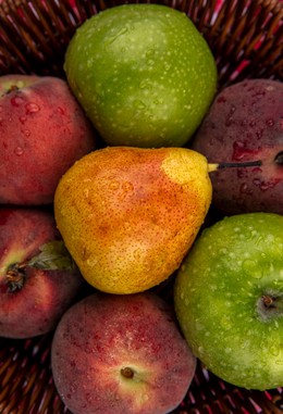 Agronegócio e Exportação de Alimentos