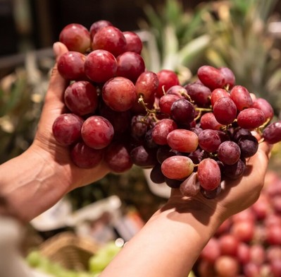 Uvas de Exportação